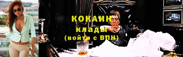 ГАЛЛЮЦИНОГЕННЫЕ ГРИБЫ Заволжье
