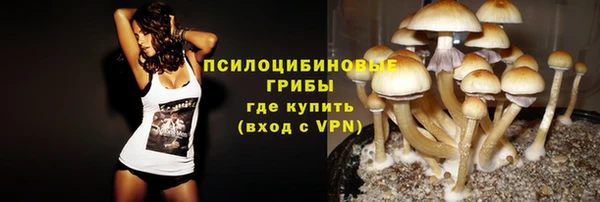 ALPHA PVP Ельня