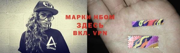 ГАЛЛЮЦИНОГЕННЫЕ ГРИБЫ Заволжье