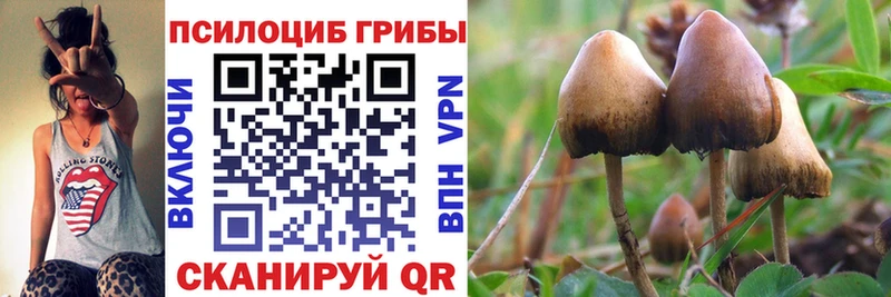маркетплейс официальный сайт кракен зеркало Сенгилей Псилоцибиновые грибы Magic Shrooms
